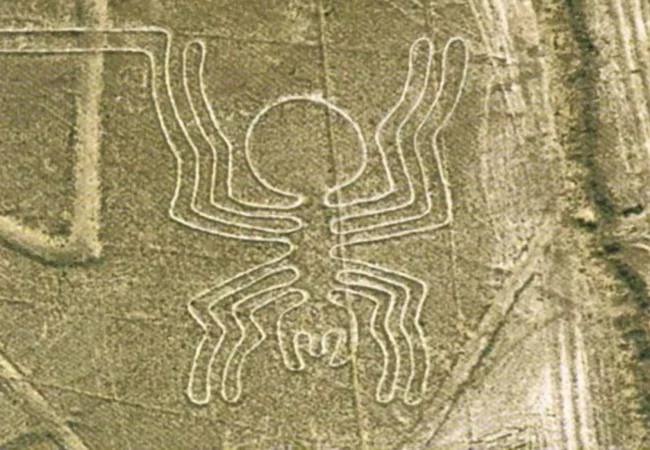 nazca4