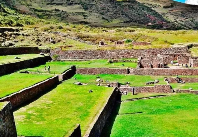 optimized_tipon-cusco
